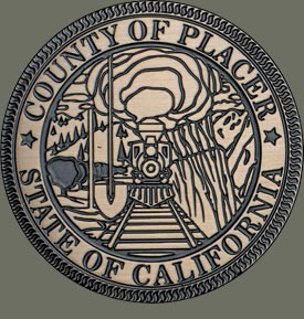 Bronze Plaques, Free Shipping, Fast 8 Days, Low Prices, Memorial Plaques, 3d Photo Engraved Bronze, Outdoor Garden Plaques, Brass, Aluminum, Etched Bronze Plaques, Cast Metal Plaque, Stainless Steel